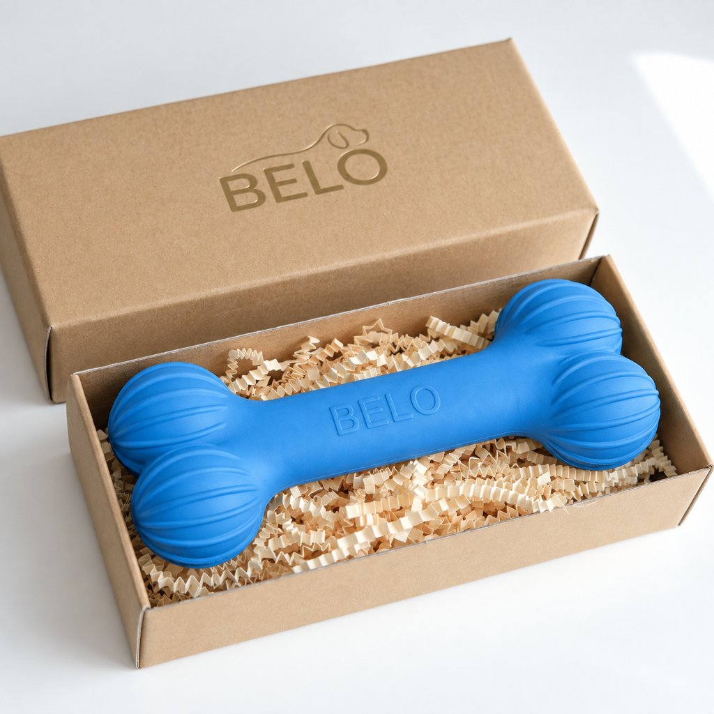 Sky blue BELO Aero Bone dog toy in an open cardboard box beside the branded lid