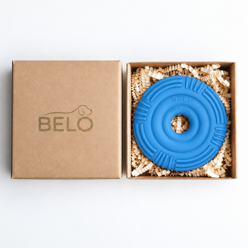 Sky blue BELO Aero Ring dog toy in an open cardboard box beside the branded lid